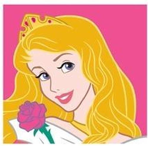 Borduurpakket voorgedrukt Disney Princess Doornroosje