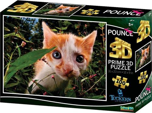 3D Image Puzzel - Pounce Pokemon (100)