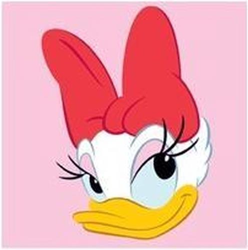 Borduurpakket voorgedrukt Disney Katrien