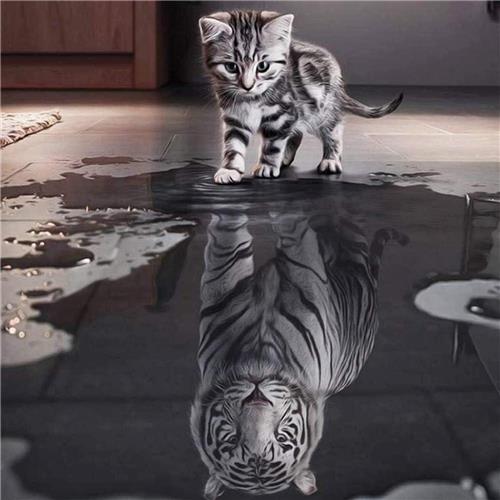 Thelau - Vervolledig Diamantschilderij Kat en Tijger - Kruissteek Kit voor Thuisdecoratie