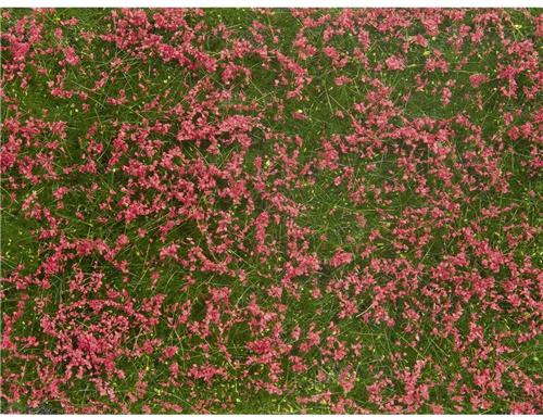 NOCH 07257 Bodembedekker Landschap bouw Rood