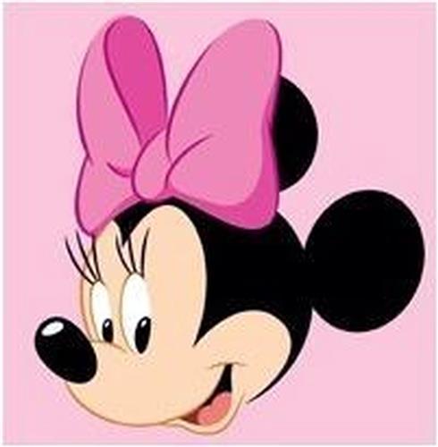Borduurpakket voorgedrukt Disney Minnie Mouse