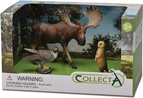 Collecta Wilde Dieren: Speelset In Giftverpakking    3-delig
