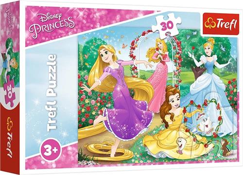 Princess Puzzel - The magical world of Princesses