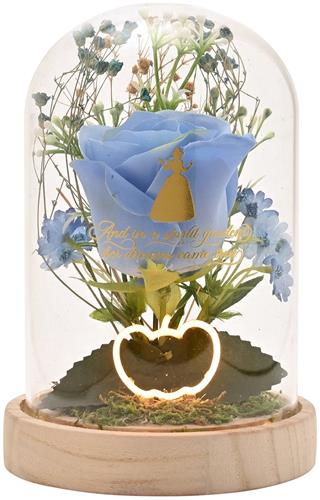 Disney Princess Cinderella Stolp met Led