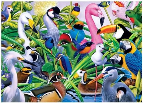 Jumbo Puzzel Birds 1000 stukjes