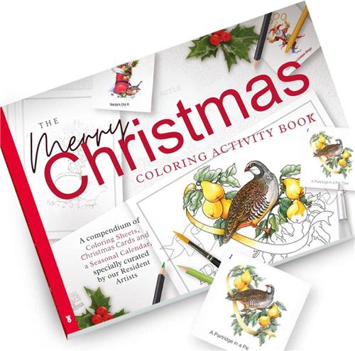 Kerst Kleurboek Compendium van Kaarten Kalenders en ScÃ¨nes voor Feestelijke Sfeer Inclusief Kleurreferentiegids Geen Doordrukken Professioneel Papier Inlijgbaar A4 Formaat