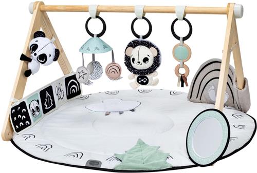 Tiny Love Luxe Gymini - Black & White DÃ©cor Luxe - Vanaf de geboorte tot 6 maanden
