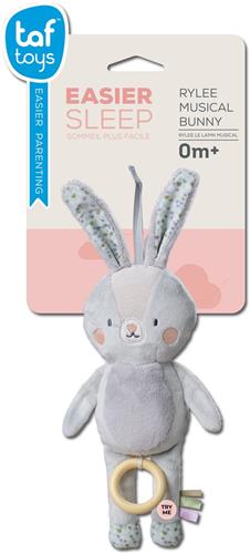 Taf Toys - Muziekknuffel - Rylee Musical Bunny