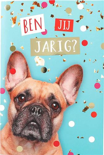 Depesche verjaardagsboek speelgoed - vrolijk cadeau voor kinderen.