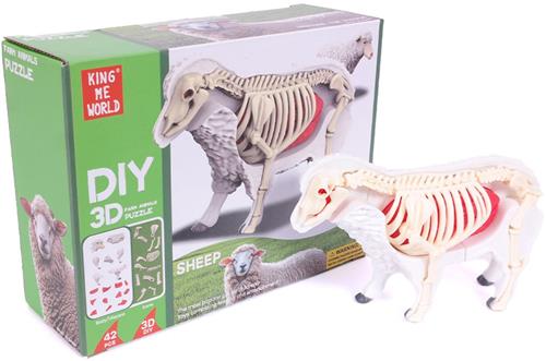 PIA Soft Toys - 3D Anatomie - Schaap
