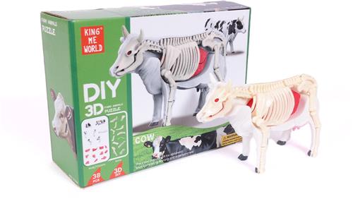 PIA Soft Toys - 3D Anatomie - Koe