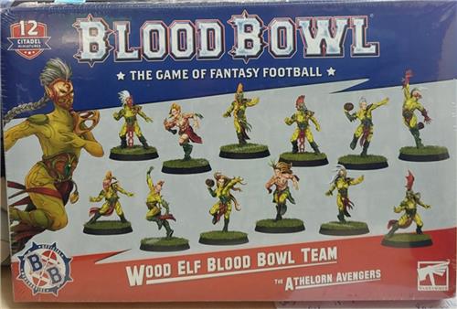Warhammer Wood Elf Blood Bowl Team (Warhammer nieuw)