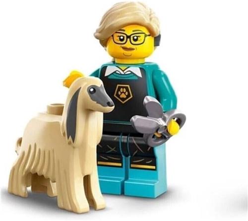 LEGOÂ® Minifiguren Serie 25 - 71045 - Pet Groomer