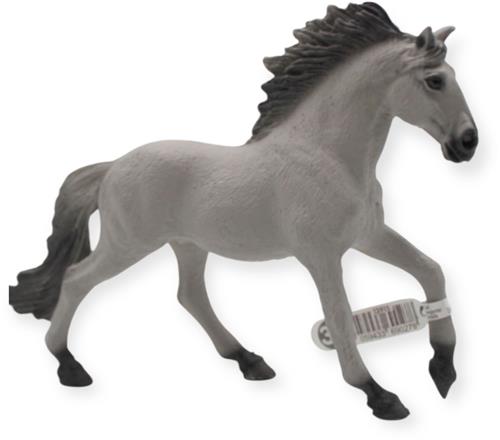 Sorrraia Mustang Hengst
