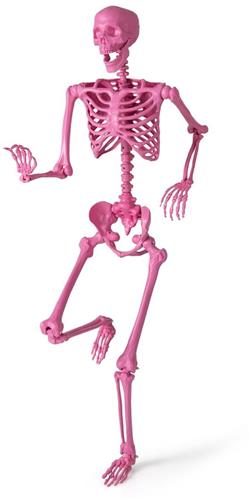 SureDealÂ® - Hallowe - Halloween Skelet Levensgroot - Beweegbare Gewrichten Halloween - 160x36 cm - Roze