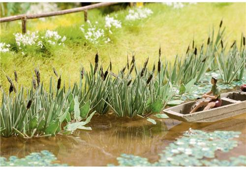 Riet