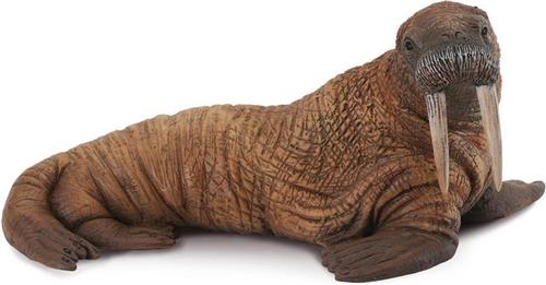 COLLECTA Walrus - (L)