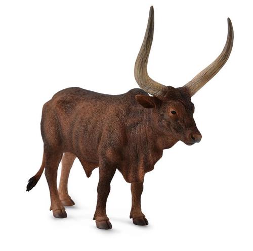 Collecta Watusirund Stier| 13,3 x 12,8 cm