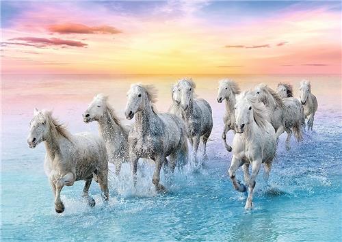Trefl Paarden in galop puzzel - 500 stukjes