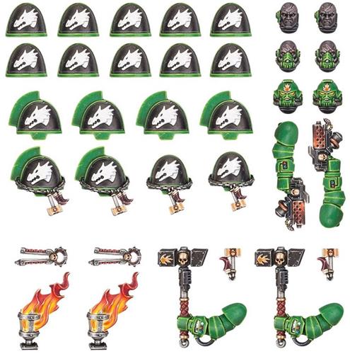 Space Marines Salamanders Primaris Upgrades & Transfers