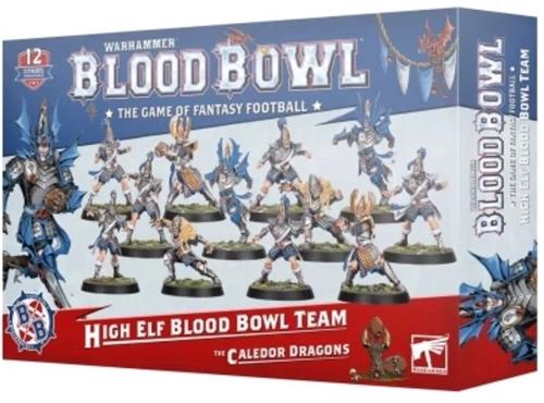 Warhammer Dark Elf Blood Bowl Team (Warhammer nieuw)
