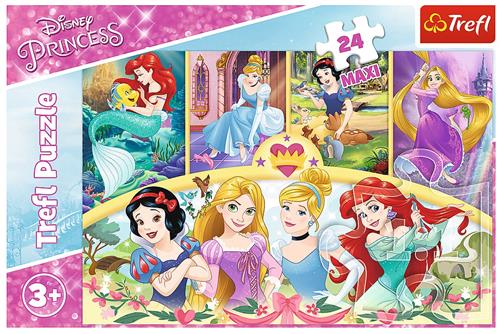 Pz. Maxi Disney Prinzessin 24T