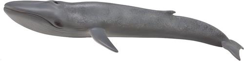 Collecta Zeedieren Blauwe Vinvis 28 Cm