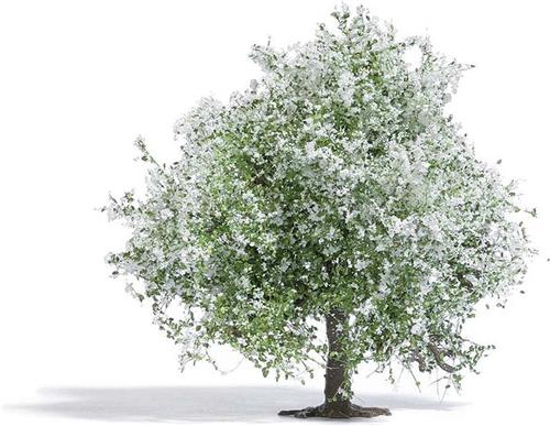 Busch 3651 Boom Appelboom 75 mm 1 stuk(s)