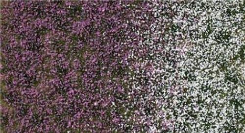 Busch - Blutenbuschel Spatsommer 4 Mm - BU3548 - modelbouwsets, hobbybouwspeelgoed voor kinderen, modelverf en accessoires