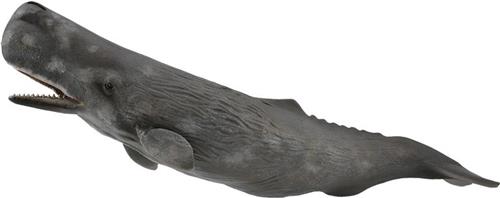 Collecta Zeedieren Potvis 24 Cm