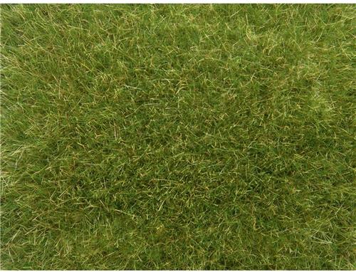 NOCH 07118 Wildgras Groen (gemiddeld)