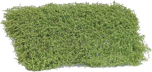 Busch 3596 Heester Lente 35 mm