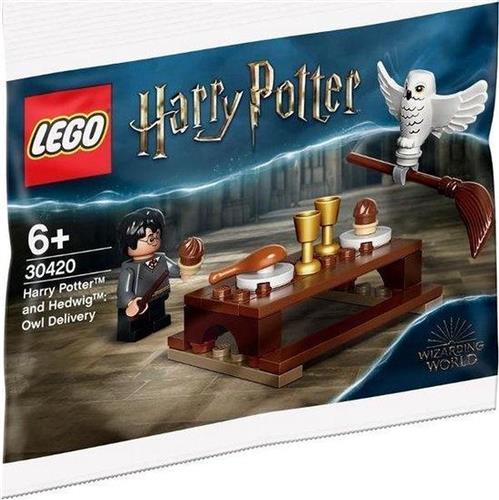 LEGO Harry Potter en Hedwig - 30420 - Polybag