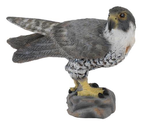 COLLECTA Slechtvalk - (S)