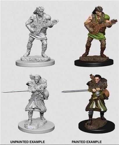Human Bard, male - Nolzur's
