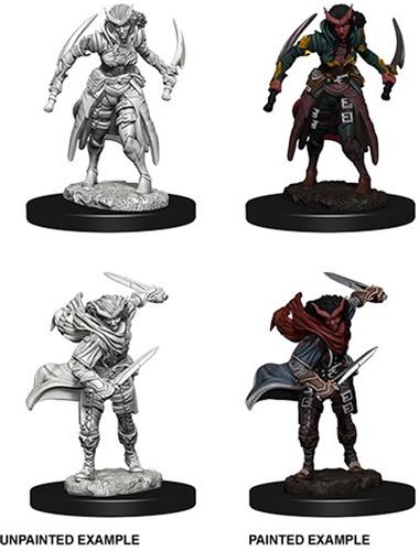 D&D Miniatures Tiefling Female Rogue - EN