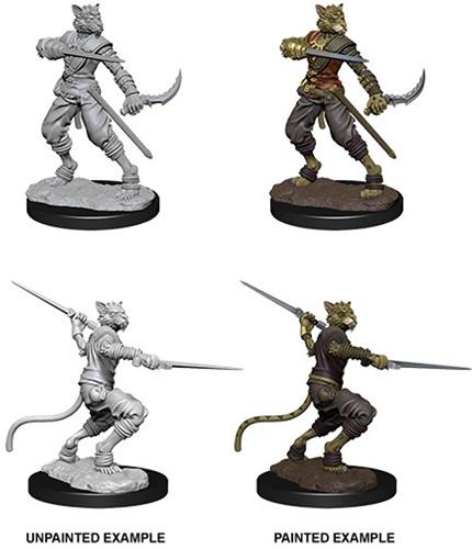 Dungeons and Dragons: Nolzur's Marvelous Miniatures - Male Tabaxi Rogue