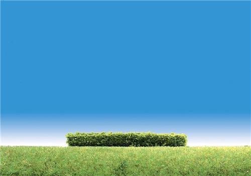 Faller - 3 Heggen, lichtgroen - modelbouwsets, hobbybouwspeelgoed voor kinderen, modelverf en accessoires