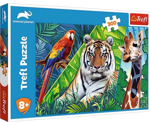 Trefl puzzel animal planet 300 stukjes