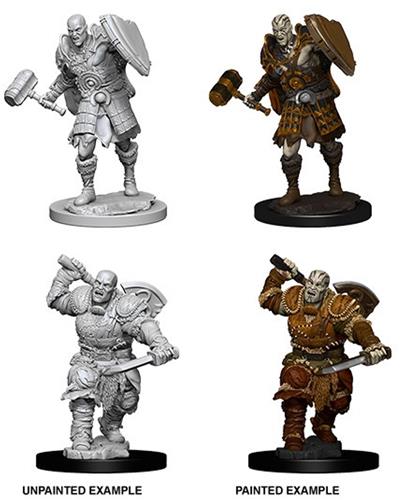 Goliath Fighter, male  - Nolzur's