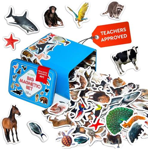 Solacis Magneet speelgoed - Magneetspeelgoed - Magneet speelgoed constructie - Magneet speelgoed bouwen blokken - Must have!