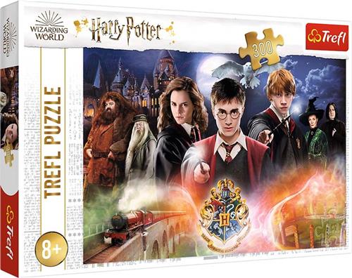 Trefl Trefl 300 - The Secret Harry Potter / Warner Harry Potter