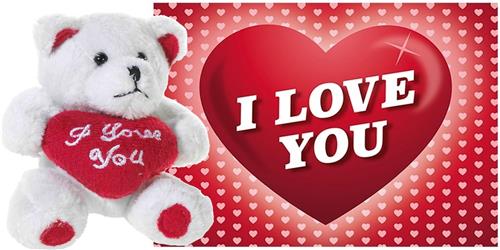 Dino Puppets Pluche knuffel kussen rood I Love You - 20 cm - met Love/hartjes wenskaart