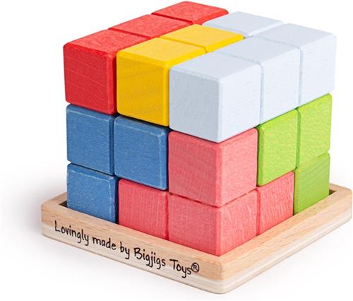 Bigjigs blokjes