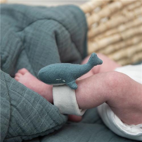 Trixie armbandrammelaar - Walvis