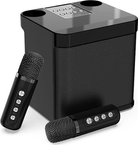 Karaoke Set Zwart met 2 draadloze microfoons - Draagbare Karaoke Speaker - Karaokeset voor Volwassenen en Kinderen - Karaoke microfoon bluetooth - Karaoke set voor TV - Kado - Cadeau - Kerstcadeau