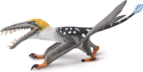 COLLECTA Dearc Sgiathanach - 1:3.