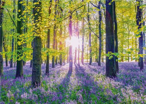 Schmidt Spiele Zarte Glockenblumen im Wald - 1000 Teile.