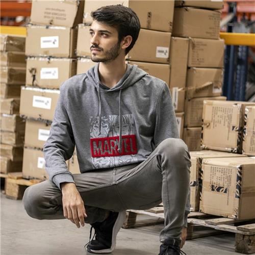 Mens Hoodie Marvel Grey